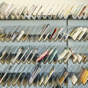 Öffnet einen externen Link auf Unterrichtsmaterialien auf der Website www.bioeg.de in einem neuen Fenster Zeitschriftenregal mit Publikationen